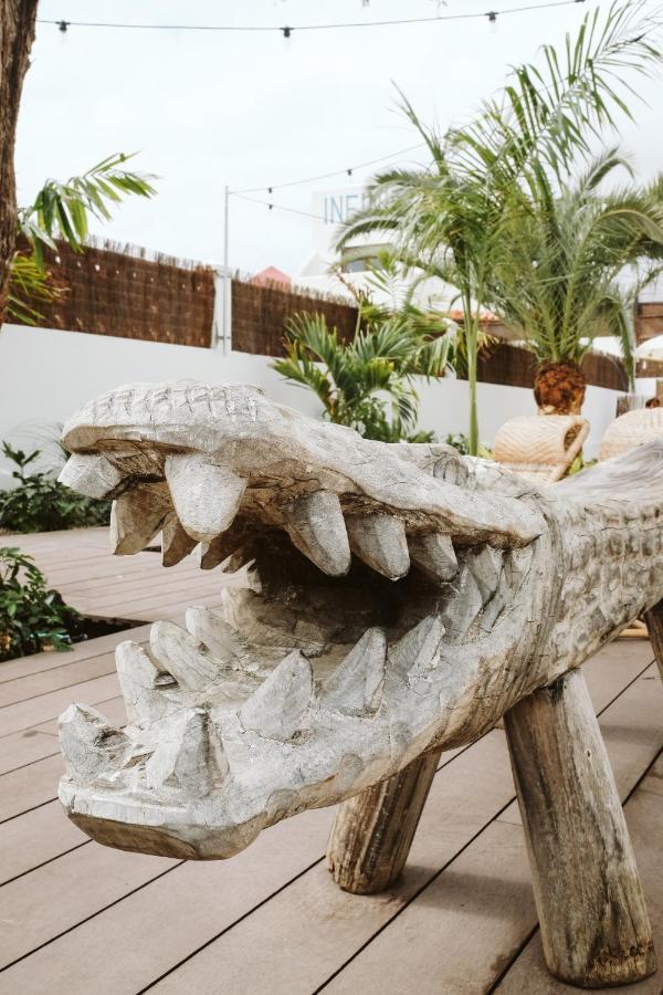 Hostel Dreamsea Surf House Fuerteventura Corralejo Zewnętrze zdjęcie